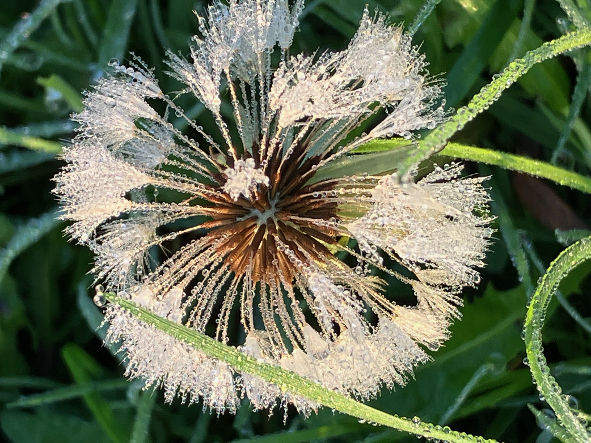 Zen.nl, Zen, meditatie, leren mediteren, foto